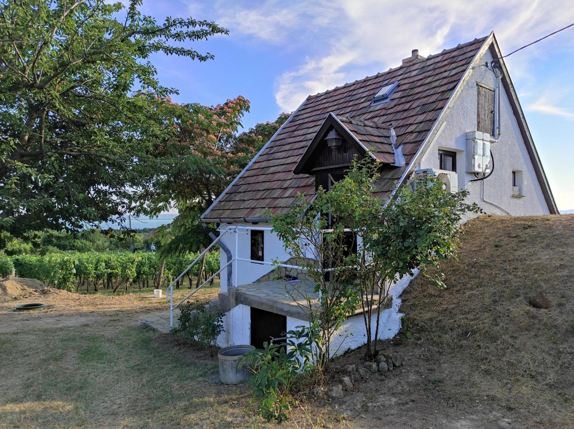 Kishaz A Szolohegyen Lägenhet Balatonakali Exteriör bild