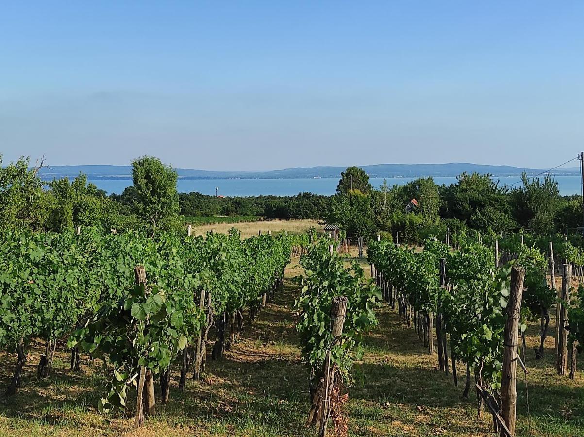 Kishaz A Szolohegyen Lägenhet Balatonakali Exteriör bild
